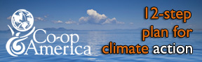 Coop America 12-Step Climate Action banner